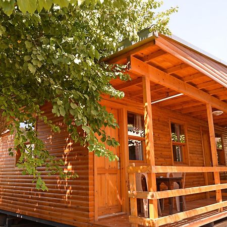Tolay Hotel Ölüdeniz Eksteriør billede